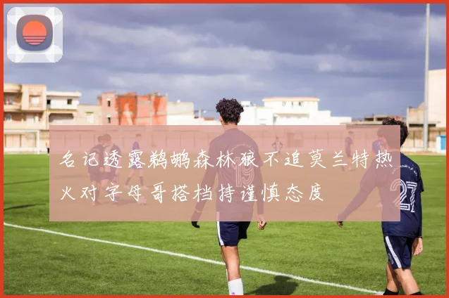 名记透露鹈鹕森林狼不追莫兰特热火对字母哥搭档持谨慎态度