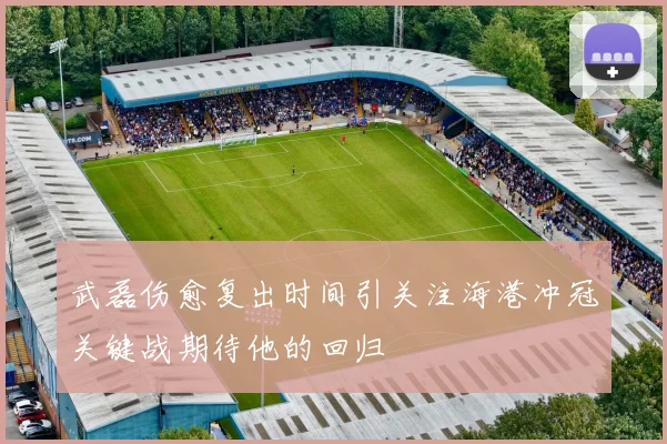 武磊伤愈复出时间引关注海港冲冠关键战期待他的回归