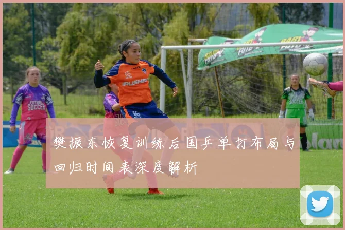 樊振东恢复训练后国乒单打布局与回归时间表深度解析