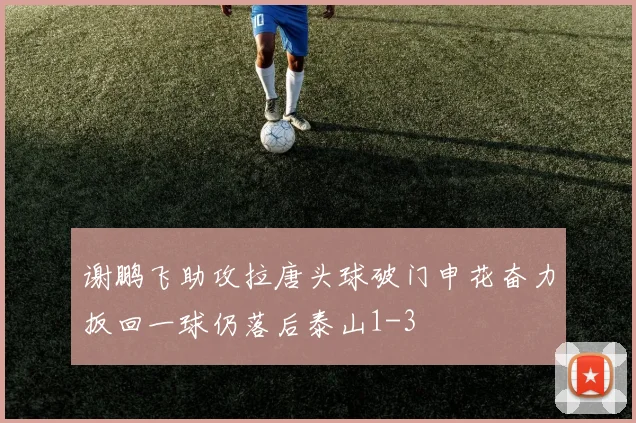 谢鹏飞助攻拉唐头球破门申花奋力扳回一球仍落后泰山1-3